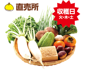 直売所